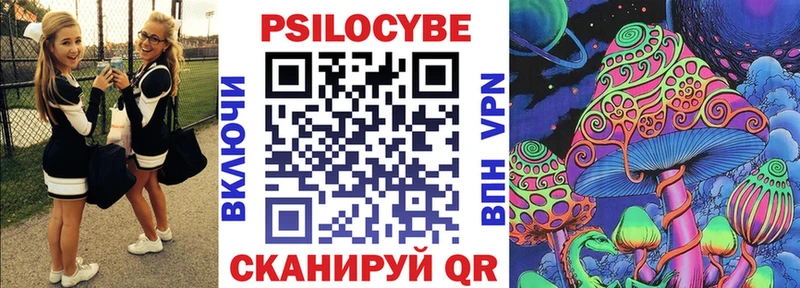 хочу наркоту  Балей  Галлюциногенные грибы Cubensis 